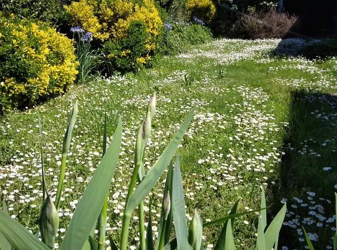 De La Sauvetat Holiday home