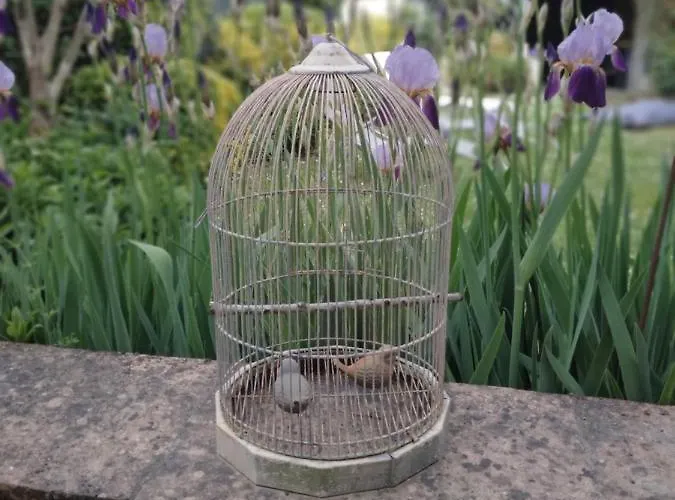 Holiday home De La Sauvetat *